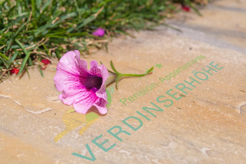 Pension Verdinserhoehe Schenna Exterior foto